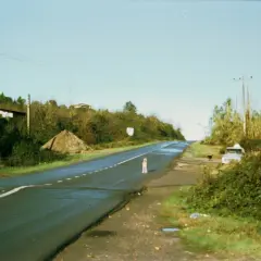 Droga z pęknięciem, problemy ze służebnością drogi. Pies na jezdni, samochód i zarośla.