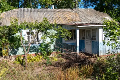 Stary, niebieski dom z falistym dachem, otoczony zielenią. To typowe **grunty rolne zabudowane**, gdzie życie toczy się w zgodzie z naturą.