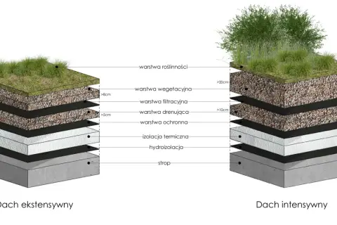 Przekrój dachu zielonego ekstensywnego z warstwami: roślinność, substrat, filtr, drenaż, ochrona, izolacja termiczna, hydroizolacja i strop.