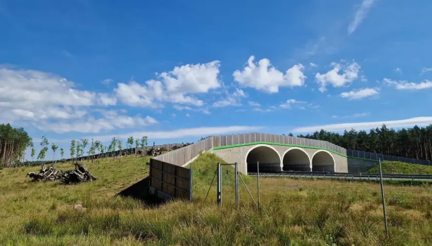 Zielony tunel ekologiczny nad drogą, który służy jako budynek inwentarski dla zwierząt.