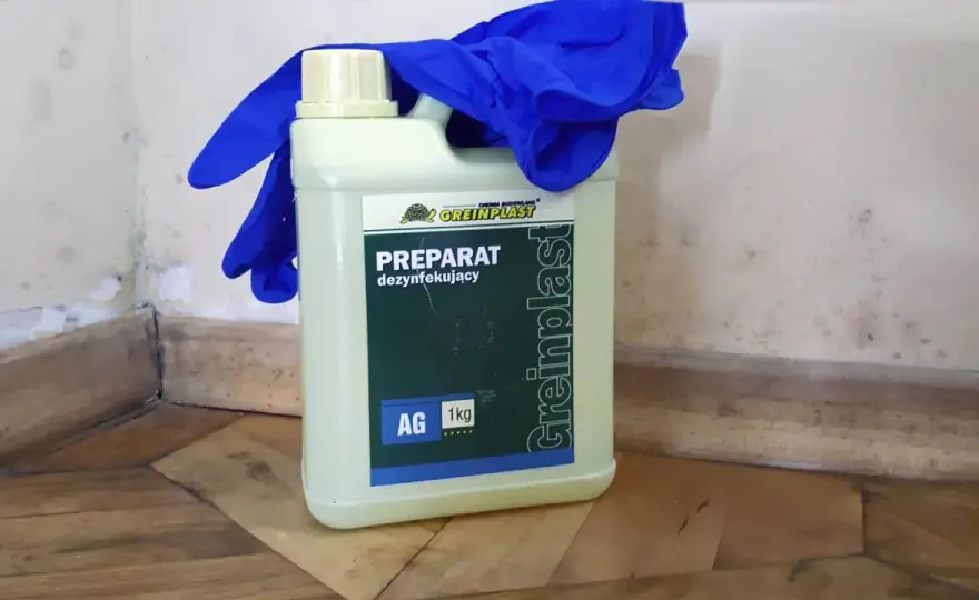 Pleśń na ścianie - Jaki preparat wybrać i jak usunąć?