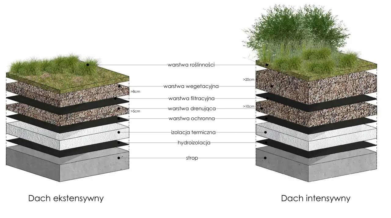 Przekrój dachu zielonego ekstensywnego z warstwami: roślinność, substrat, filtr, drenaż, ochrona, izolacja termiczna, hydroizolacja, strop.